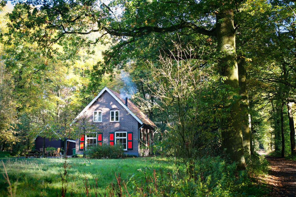Dom w pobliżu lasu – dlaczego to dobra inwestycja?